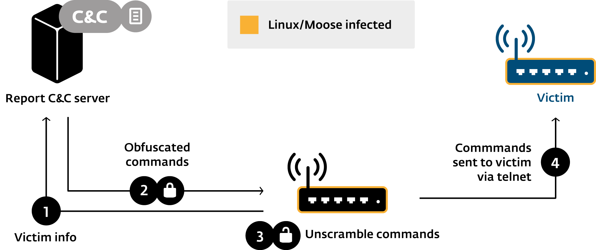 moose infection process